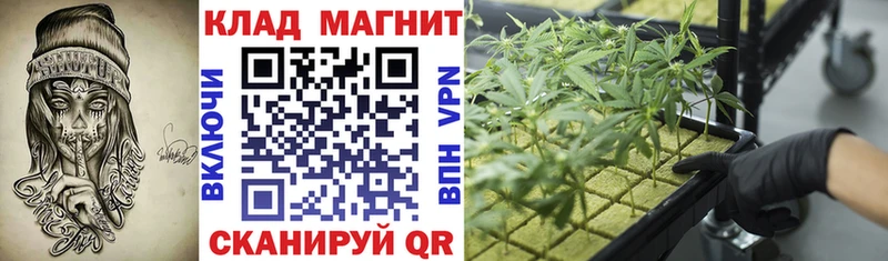 Где можно купить наркотики Снежногорск МАРИХУАНА  Меф  Альфа ПВП  ГАШ 
