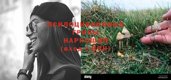 прущая мука Арсеньев