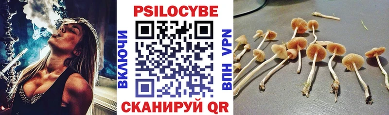 KRAKEN зеркало  Снежногорск  Галлюциногенные грибы GOLDEN TEACHER  закладки 
